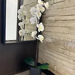 Apartment Chlodna Wola *