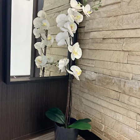 Apartment Chlodna *